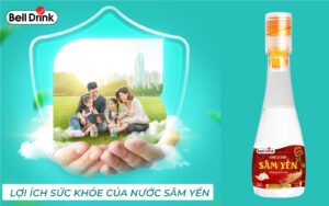 Sâm Yến - Nguồn Năng Lượng Tự Nhiên Cho Sức Khỏe