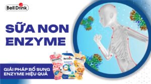 Enzyme là gì? Tác dụng của Enzyme đối với sức khỏe